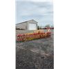Image 2 : YETTER 3415 3PT HITCH ROTARY HOE