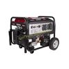 Image 1 : CASE IH 12,000-Watt Powerease Generator