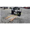 Image 1 : HLA HD42BO500 48" 4200 LB PALLET FORKS