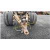 Image 8 : SINGLE AXLE JOE DOG