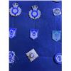 Image 8 : ONTARIO PROVINCIAL POLICE AUXILIARY BADGE LOT METAL ENAMEL CREST INSIGNIA GROUP