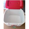 Image 3 : COLEMAN HARD-SIDED COOLER WITH HANDLE AND MAPLE LEAF GRAPHIC
