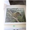 Image 1 : SIMON COMBES "THE SOLITARY HUNTER" LEOPARD ART PRINT