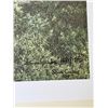 Image 2 : SIMON COMBES "THE SOLITARY HUNTER" LEOPARD ART PRINT