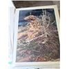 Image 2 : BEV DOOLITTLE "PRAYER FOR THE WILD: THINGS" PRINT