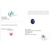 Image 1 : 16.91 ct NATURAL OVAL CABOCHON-CUT TANZANITE ( $12,250 APPRAISAL )