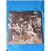 Image 1 : LED ZEPPELIN IN THROUGH THE OUT DOOR VINYL RECORD