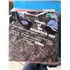 Image 1 : SOUNDS OF THE WOODSTOCK AGE STEREO VINYL RECORD