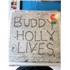 Image 1 : BUDDY HOLLY / THE CRICKETS 20 GOLDEN GREATS VINYL RECORD