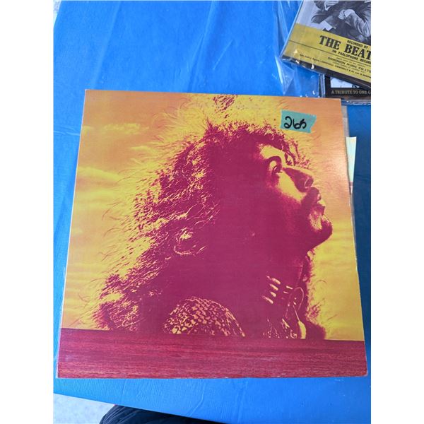 VINYL RECORD