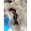 Image 3 : VINTAGE FUR COAT SIZE MEDIUM