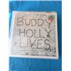 Image 1 : BUDDY HOLLY / THE CRICKETS 20 GOLDEN GREATS VINYL RECORD